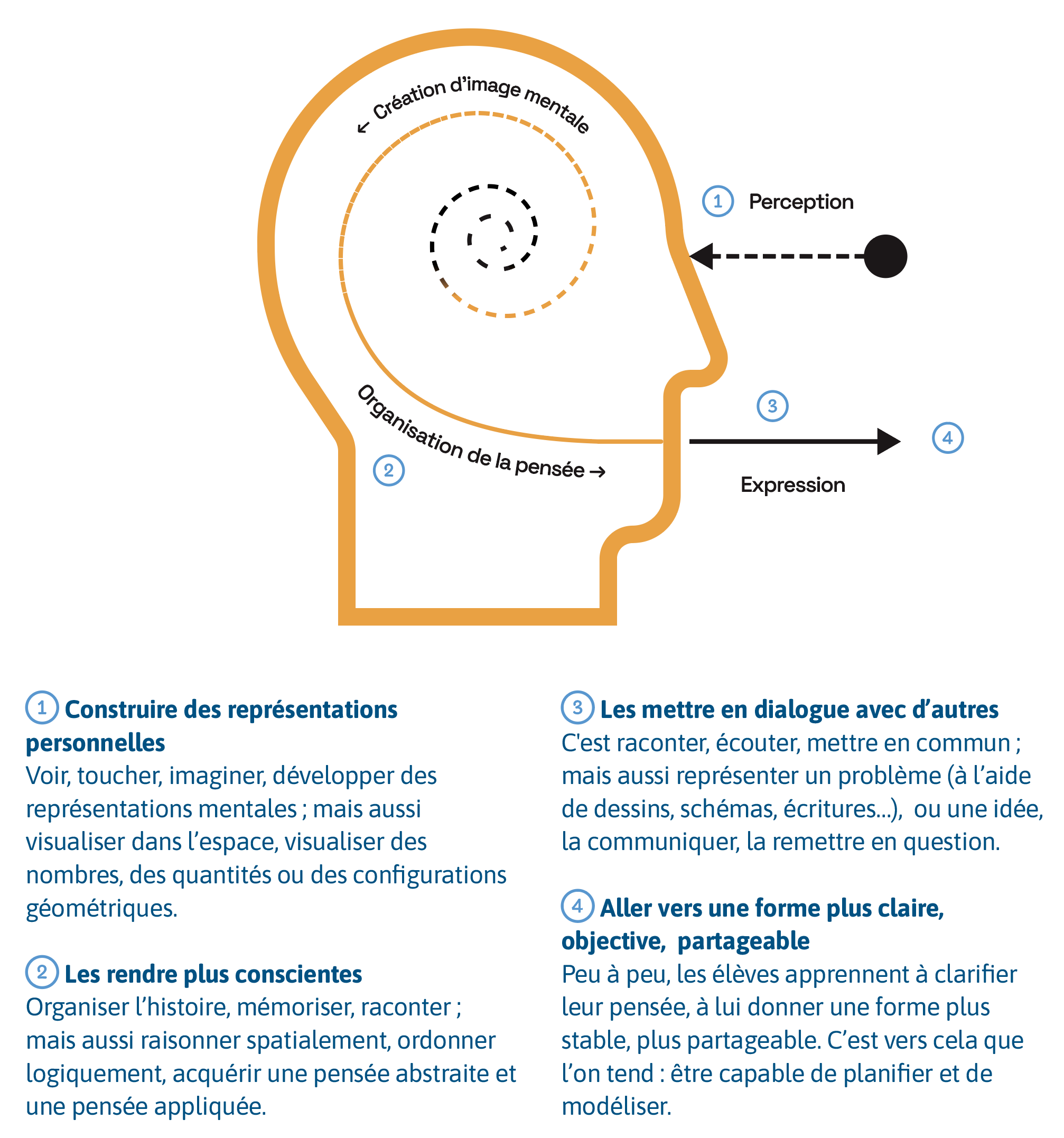 Compétences exercées en écoutant, en imaginant et en racontant un conte
